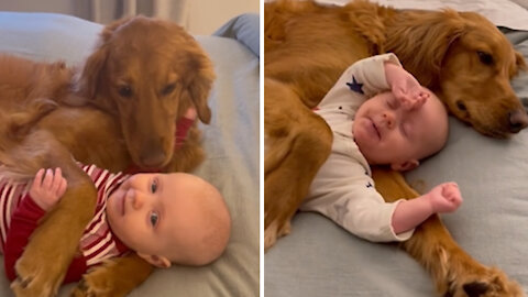 cute kid playing with a dog and they share a bond of love and devotion