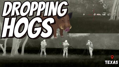Dropping Hogs | Bering Optics Comparison!