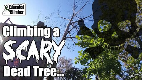 Climbing a SCARY Dead Tree | Rigging and Cutting DANGEROUS Tree Removal
