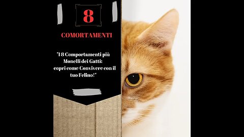 "I 8 Comportamenti più Monelli dei Gatti: Scopri come Convivere con il tuo Felino!"