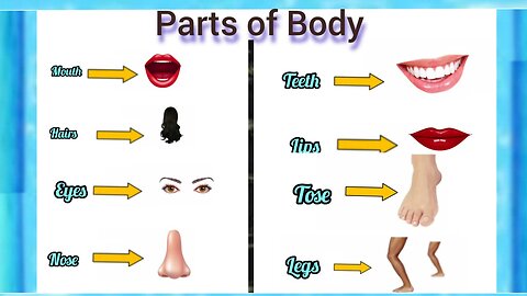 Parts of Body in English | Different Parts of Body | Name of Body Parts