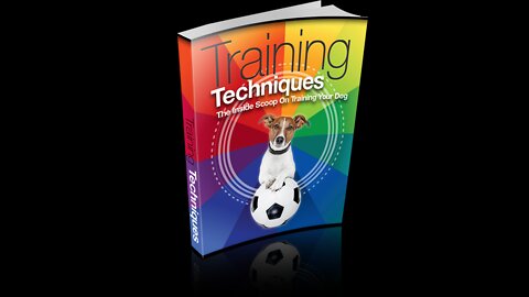 Dog training fundamentals|How to train a dog? #shorts
