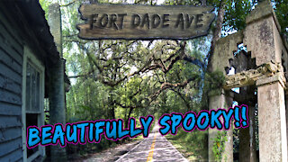 Beautifully Spooky Road!! (Fort Dade Ave)