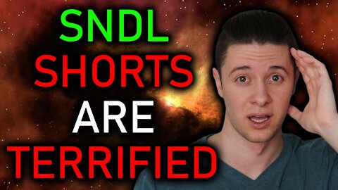 SNDL Stock SHORTS FLEEING BEFORE 2022 PUMP