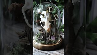 💀 Mushroom Skull Curiosity Sculpture 💀