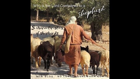 Why Is the Lord Compared to a Shepherd??