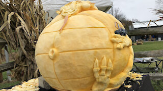 Squashcarver 'Fat Dragon' giant pumpkin carving time-lapse