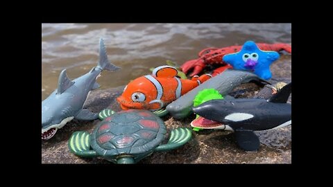 Marine animal toys this summer on the river bank .