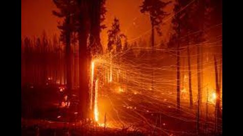 The truth about the California Fires Documentary