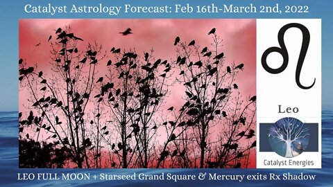 LEO - Catalyst Astrology Forecast - LEO FULL MOON + STARSEED GRAND SQUARE - Feb 16-March 2nd, 2022