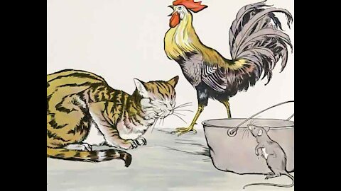 the cat mouse and chicken