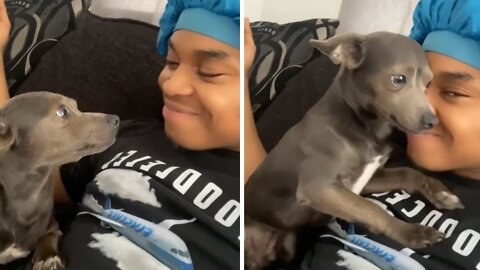 Pup Has Adorable Reaction To Owner's Kiss