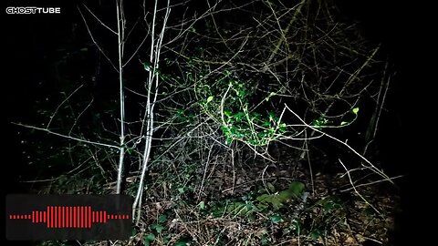 Keston Ponds HAUNTED? LET'S FIND OUT