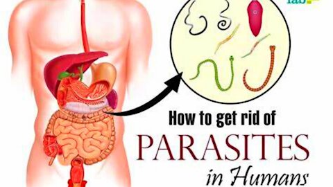 10 Signs That Someone Needs a Parasite Cleansing