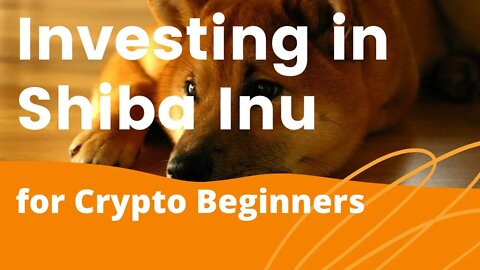 Investing In Shiba Inu Coin For Crypto Beginners