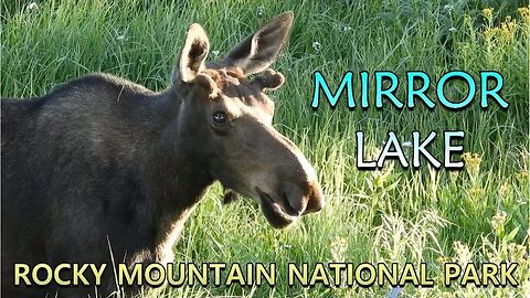 Mirror Lake - Rocky Mountain National Park