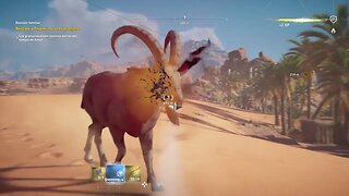 Assassin's Creed Origins 5#