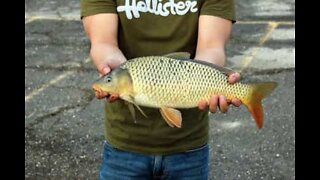 Man catches fish in flooded road