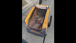 Daisy's First Ride