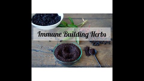 Immune Builder Herbs