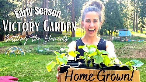 Zone 6B Spring Garden Tour | Container Gardening in Pools and More!