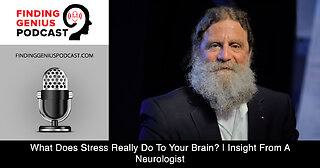 What Does Stress Really Do To Your Brain? | Insight From A Neurologist