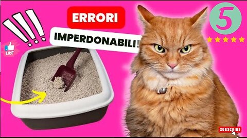 I 10 Sbagli Imperdonabili che stai Facendo con la Lettiera del tuo Gatto (E Come Evitarli)