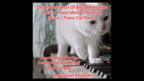 25 Second Short Of Best Meditation Music | Piano Music | Relaxing Music | Piano Cat Part 2 #shorts