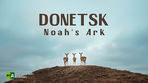 Noah's Ark Donetsk | RT Documentary