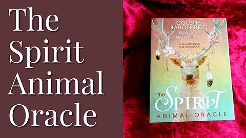 UNBOXING & READING - Spirit Animal Oracle by Collette Baron Reid