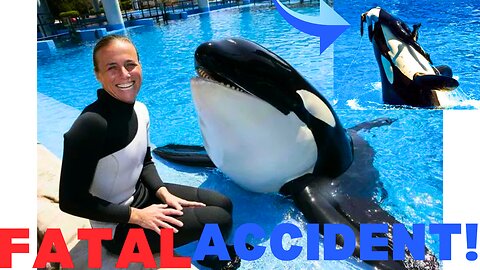 The TERRIFYING Final Moments of Orca Trainer Dawn Brancheau