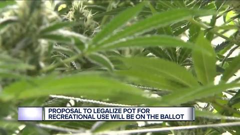 Michigan voters to decide on legalizing recreational marijuana