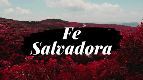 Fe Salvadora