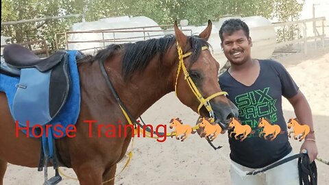 Horse Training🐎🐎🐎🐎🐎