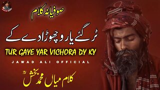 Tur Gaye Yaar Vichora Dy Ky | Punjabi Sufiana Kalam Mian Muhammad Baksh | Saif ul Malook | Sufism