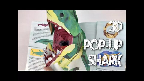 SHARKS & SEA MONSTERS 3D Pop-Up Book Review