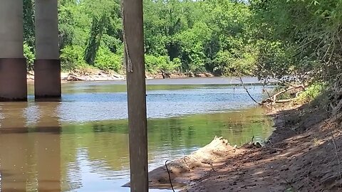 THERE WAS A SUNKEN SUBMARINE IN THE CAPE FEAR RIVER IN FAYETTEVILLE, NC ISN'T THERE GATORS IN THERE