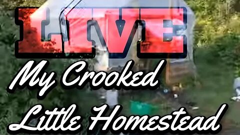 Live with Lucy Borne from My Crooked Little Homestead ep. 26