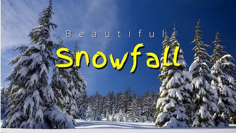 Snowfall Winter Free Stock Footage Free HD Video No Copyright