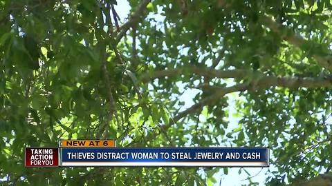 71-year-old Lutz woman scammed and robbed by fake tree trimmers