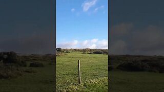 overlooking Brat Tor Dartmoor. Nov 2021