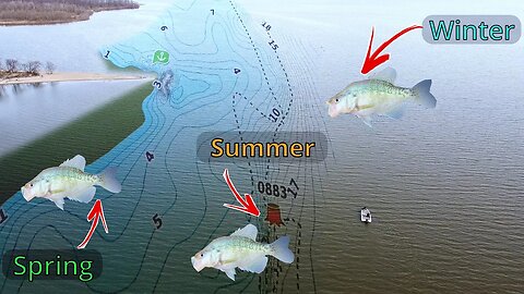 Look for this SPOT on a RIVER to Find Crappie | How to use side imaging to locate crappie