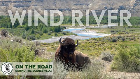 LOST LAND... we should be mindful of the consequences | The Wind River Tribal Buffalo Initiative