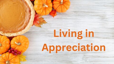 Messages from Ann & the Angels - 11/19/2022 • Living in Appreciation