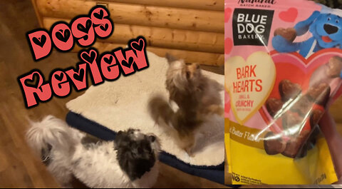 Blue Dog Bakery Bark Hearts Valentines Dog Treats Review