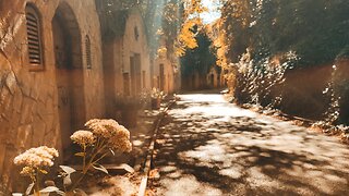 Wine cellar in Hungary, Magical September