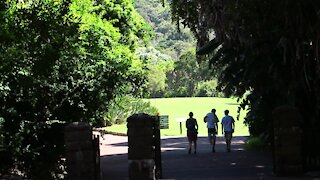 SOUTH AFRICA - Cape Town - Kirstenbosch National Botanical Garden (Video) (K8J)