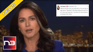 Tulsi Gabbard Outs Democrats to Tucker: Says They Racialized The Entire Country For One Reason