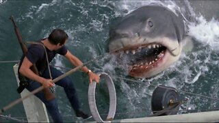 JAWS (1975) Official Trailer