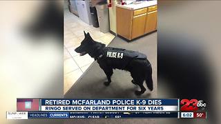 Retired McFarland Police K-9 dies